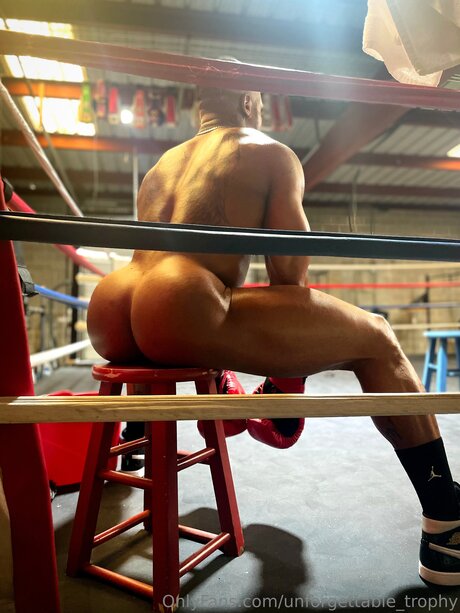 Unforgettable Trophy star adult pictures