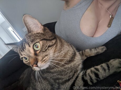 Mysterymullet pornstar naked pictures