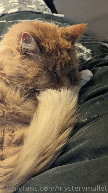 pawg thick onlyfans art porn archive