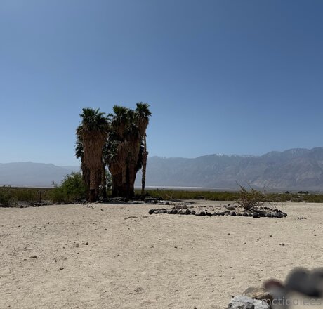 beautiful onlyfans sexy galleries