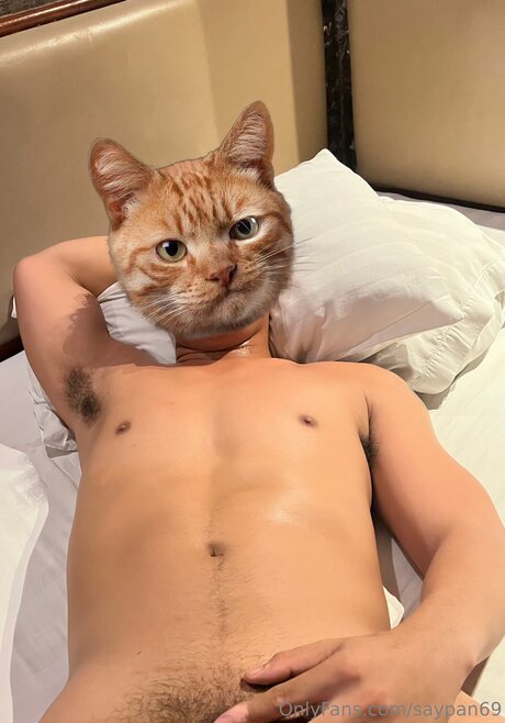 Saypan69 free actress pics