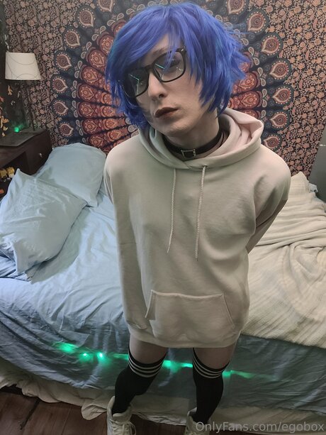 Egobox star art galleries