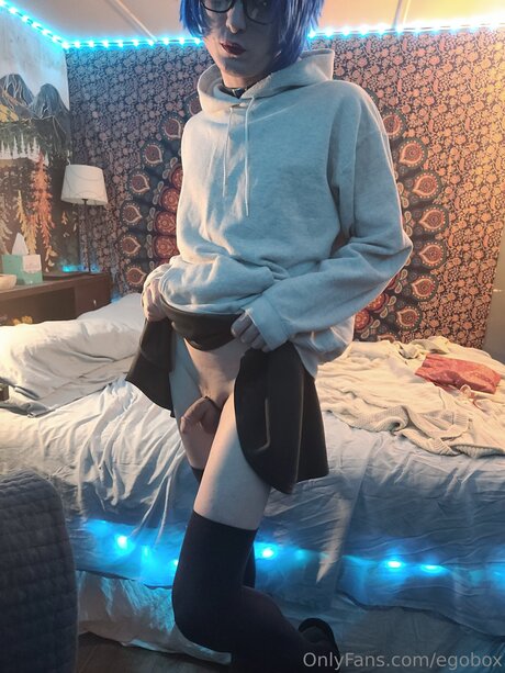 Egobox art pornstar gallery