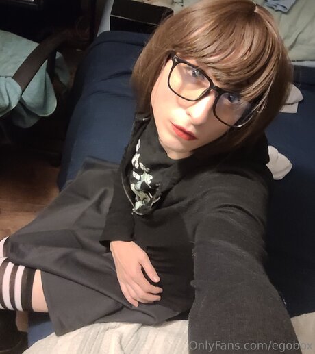 Egobox perfect star img