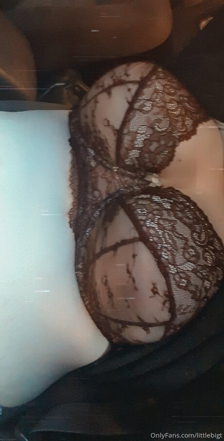 Littlebigt model hd image