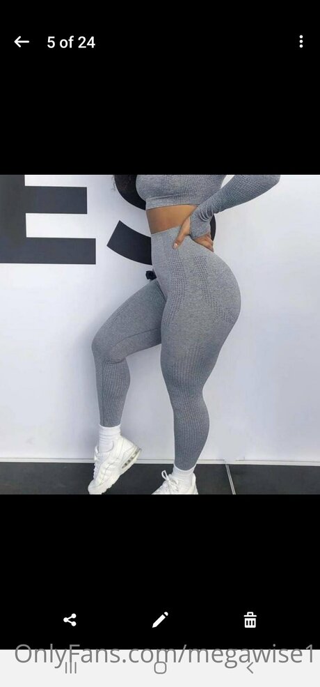 Megawise1 model nice img