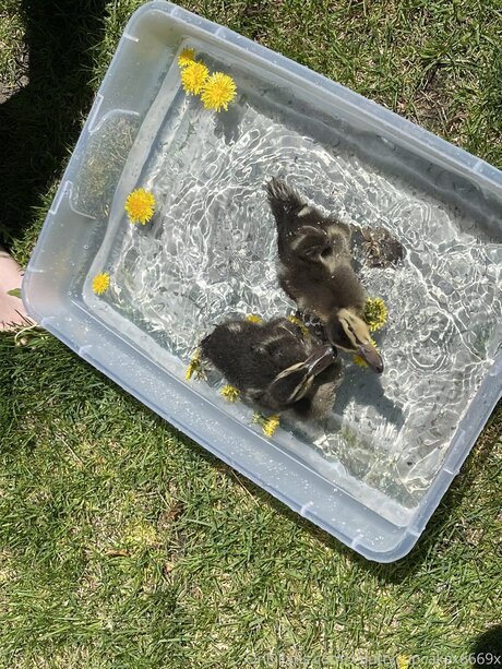 Xsluttycupcakex6669x art actress pictures