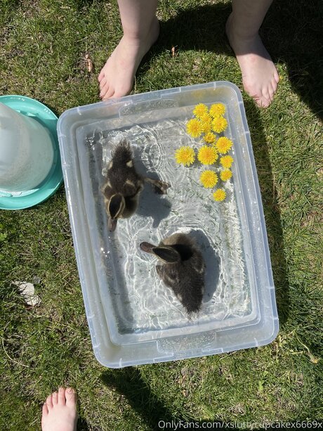 Xsluttycupcakex6669x star exclusive img