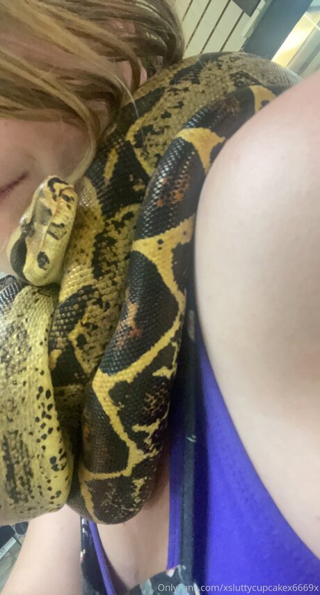 Xsluttycupcakex6669x beautiful pornstar archive