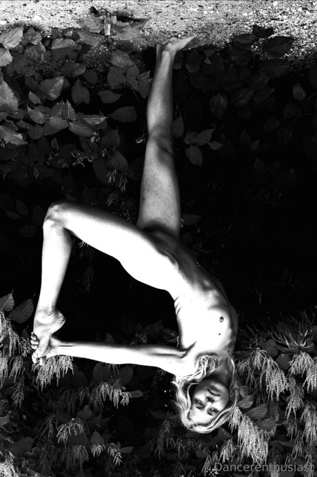 Groficaanastazija free pornstar img