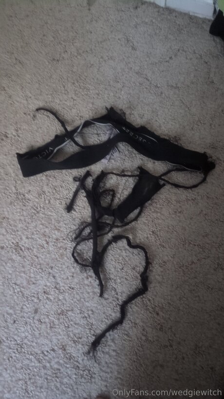 Wedgiewitch high quality model picture