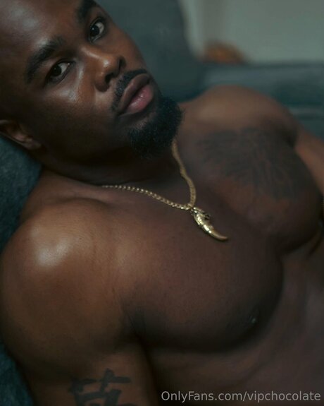 Vipchocolate pornstar nudes galleries