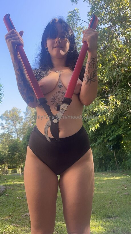 Moodyxbebe Photo Gallery