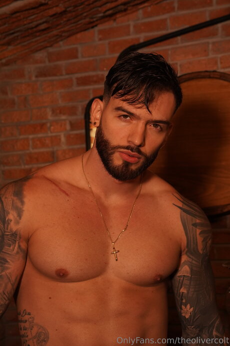 Theolivercolt pornstar adult photo