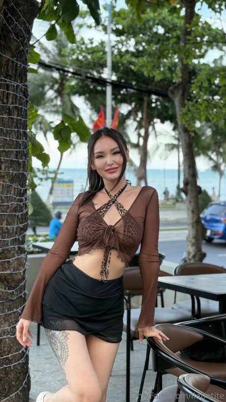 Liapetite top model galleries