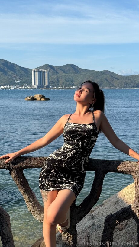 Liapetite star adult archive