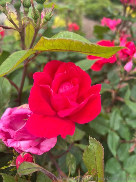 gay fuck onlyfans hd pictures