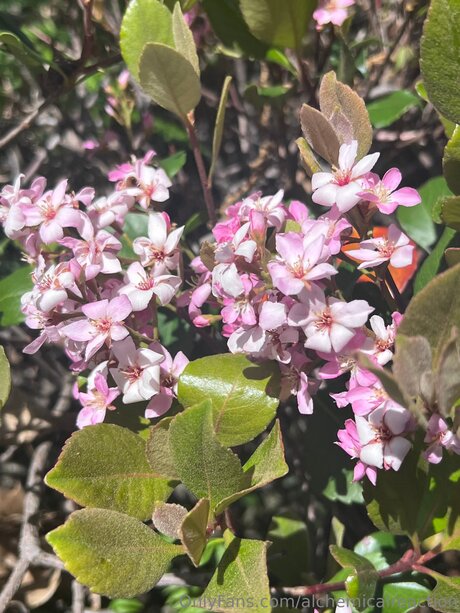 gay fuck onlyfans hot picture