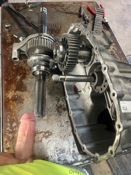 Packinsnax xxx star pictures