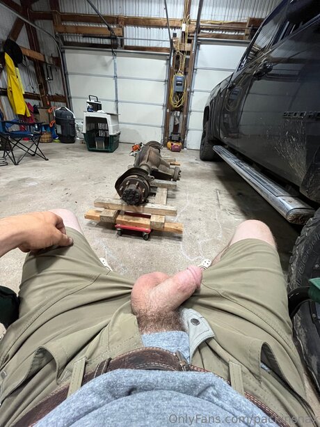 Packinsnax nice model img