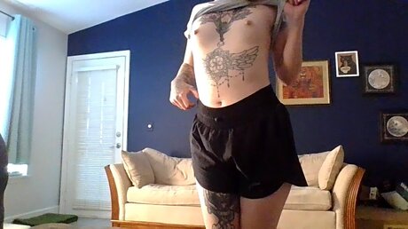 Meeklymara art pornstar galleries