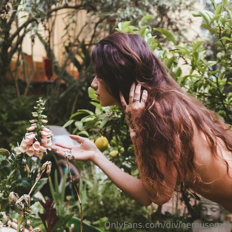 Divinemusemel xxx pornstar picture