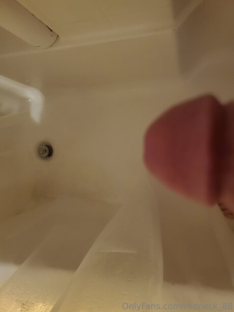 Redneck 88 perfect pornstar gallery