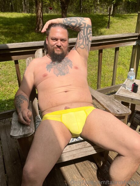 Taurusheavy star best gallery