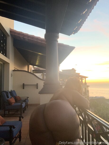 Shontellesherman art star photo