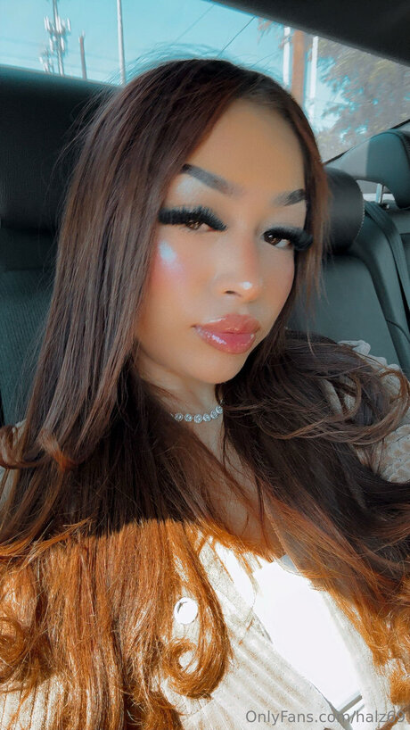 Halz69 pornstar perfect gallery
