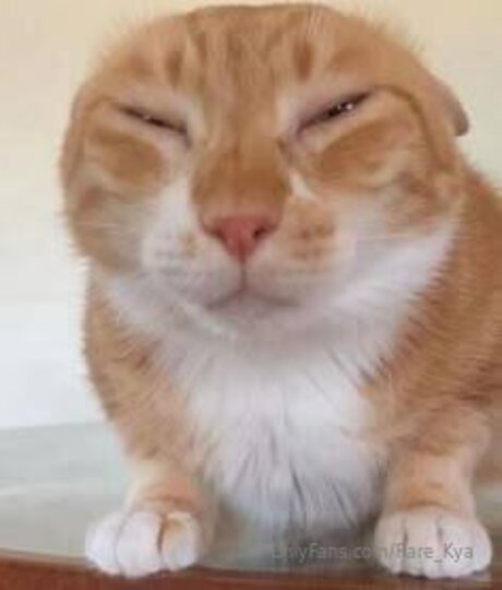 Rare Kya best pornstar pic