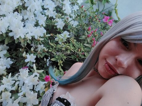 Sugar Rush Goddess star xxx archive