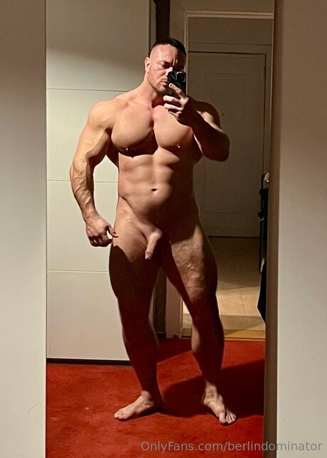 Berlindominator model pretty picture