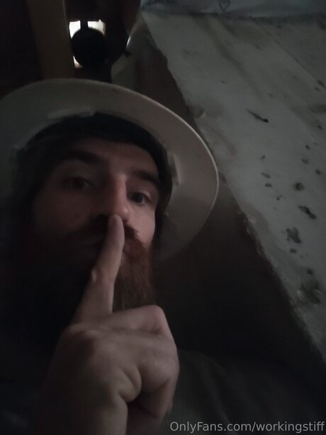 Workingstiff pornstar nude picture