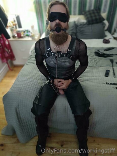 Workingstiff model best archive