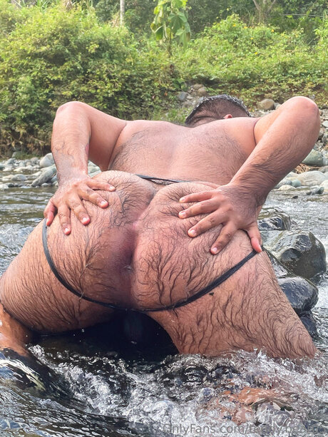 Teddy Bear05 beautiful star photo