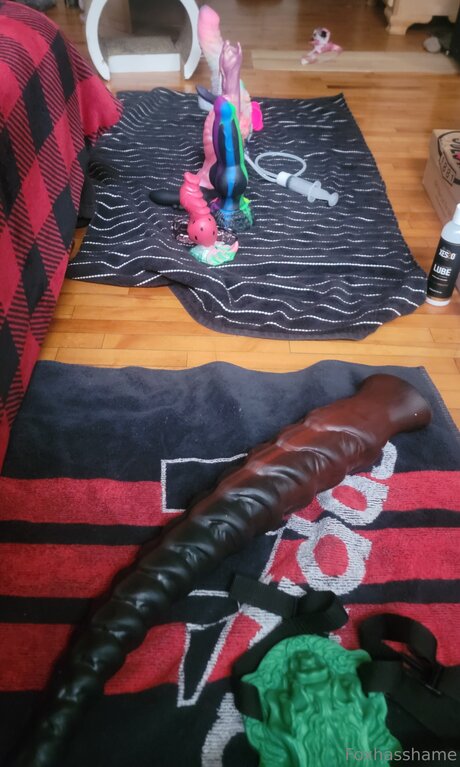 Foxhasshame sex star images