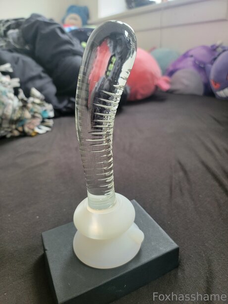 Foxhasshame free model pic