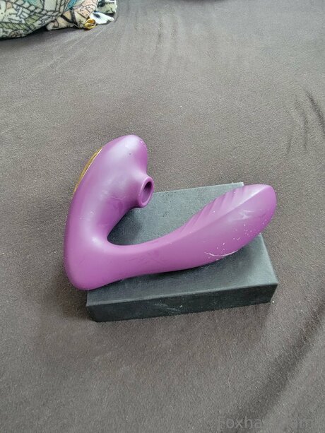 Foxhasshame pornstar nice pic