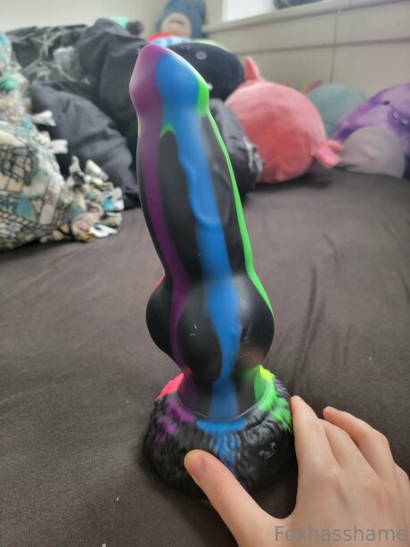 Foxhasshame best model img