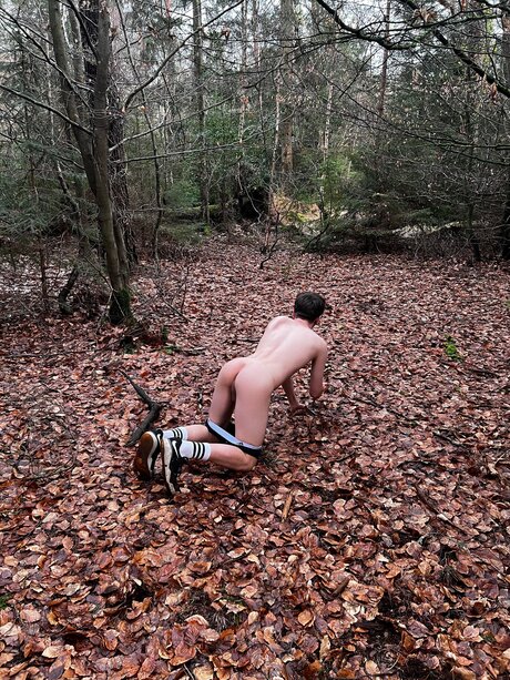 Thebeeb0i beautiful pornstar img