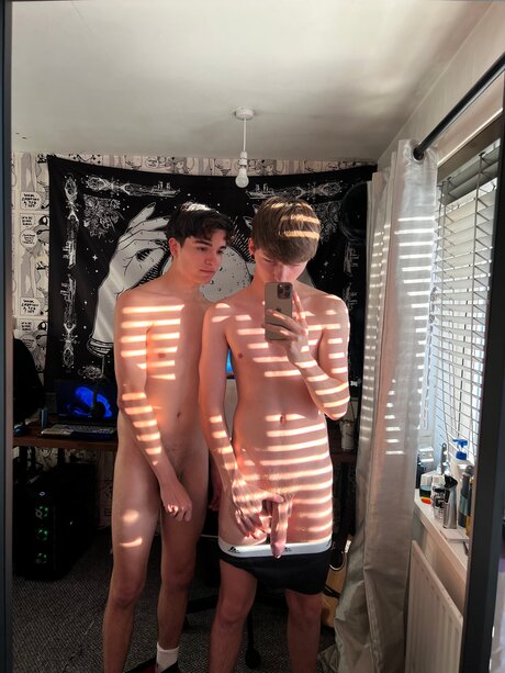 Thebeeb0i star hd img