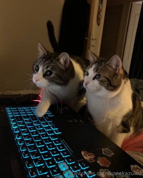 nude selfie onlyfans sexy pics