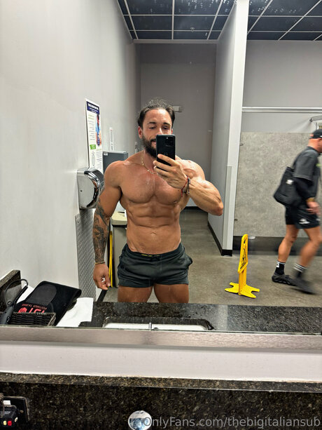 Thebigitaliansub star perfect picture