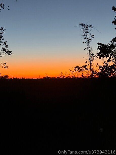 Man Of Your Dream pornstar exclusive img