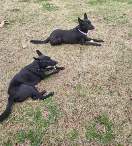 Kirstenkrawford model top galleries