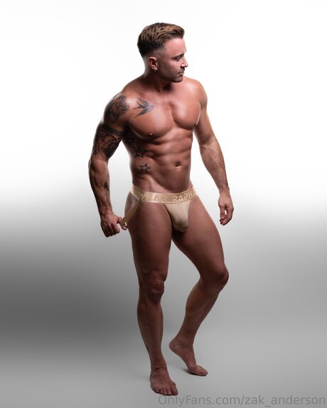 Zak Anderson sexy star archive