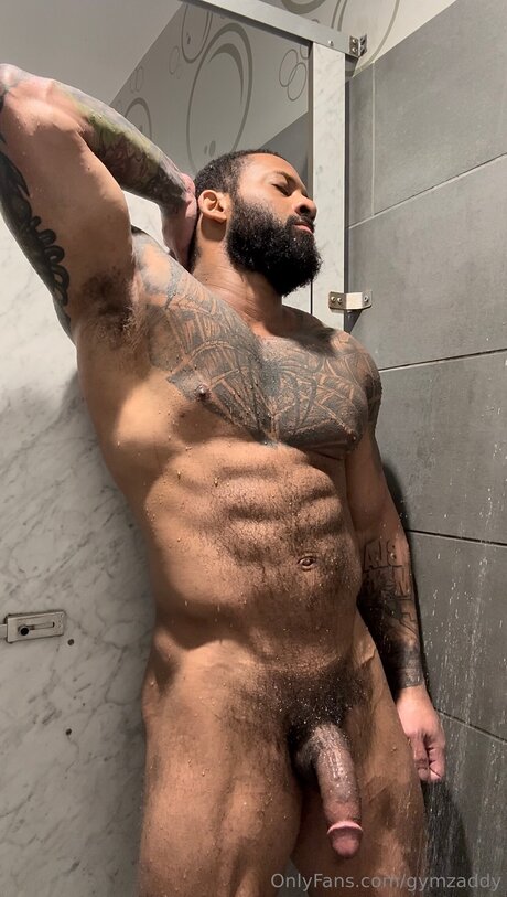 Gymzaddyvenom high quality star images