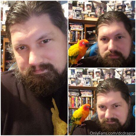 Dcdragon naked actress archive