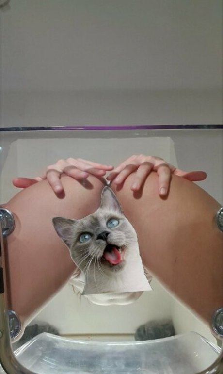 candycatcris top actress archive